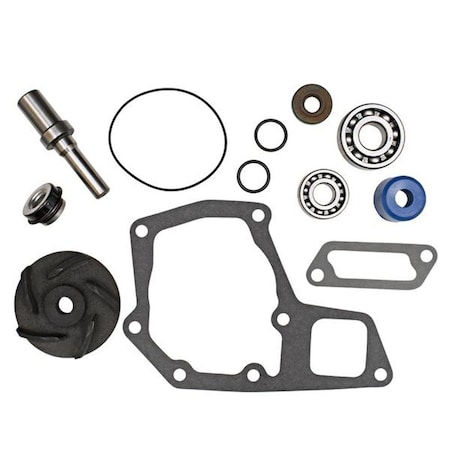 Aftermarket RRE69846 Water Pump Overhaul Kit Fits John Deere R-RE69846-RIL